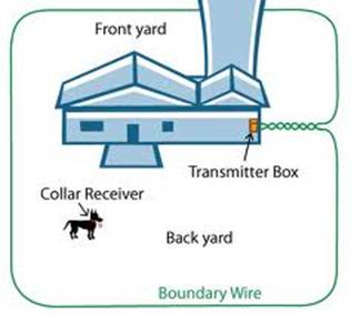 What is a dog fence
