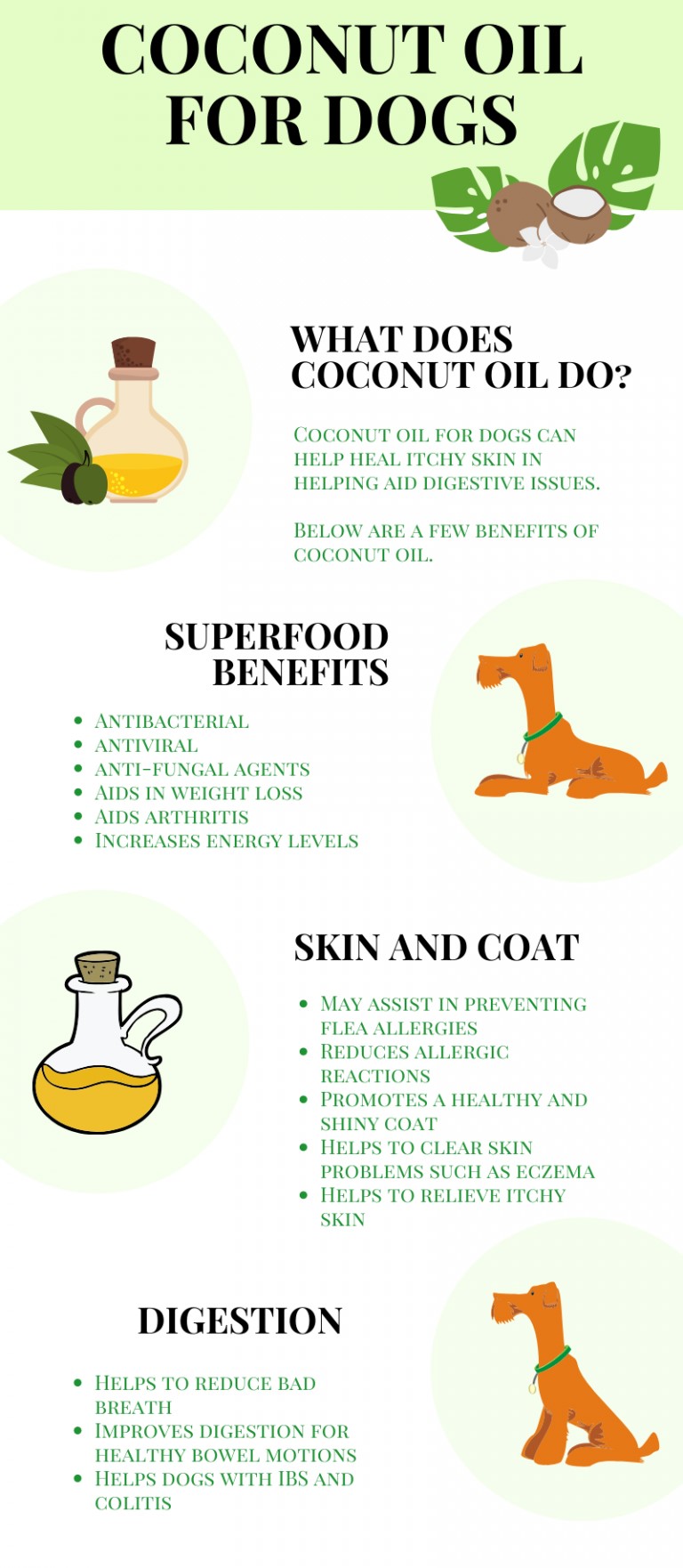 Coconut oil for dogs infographic