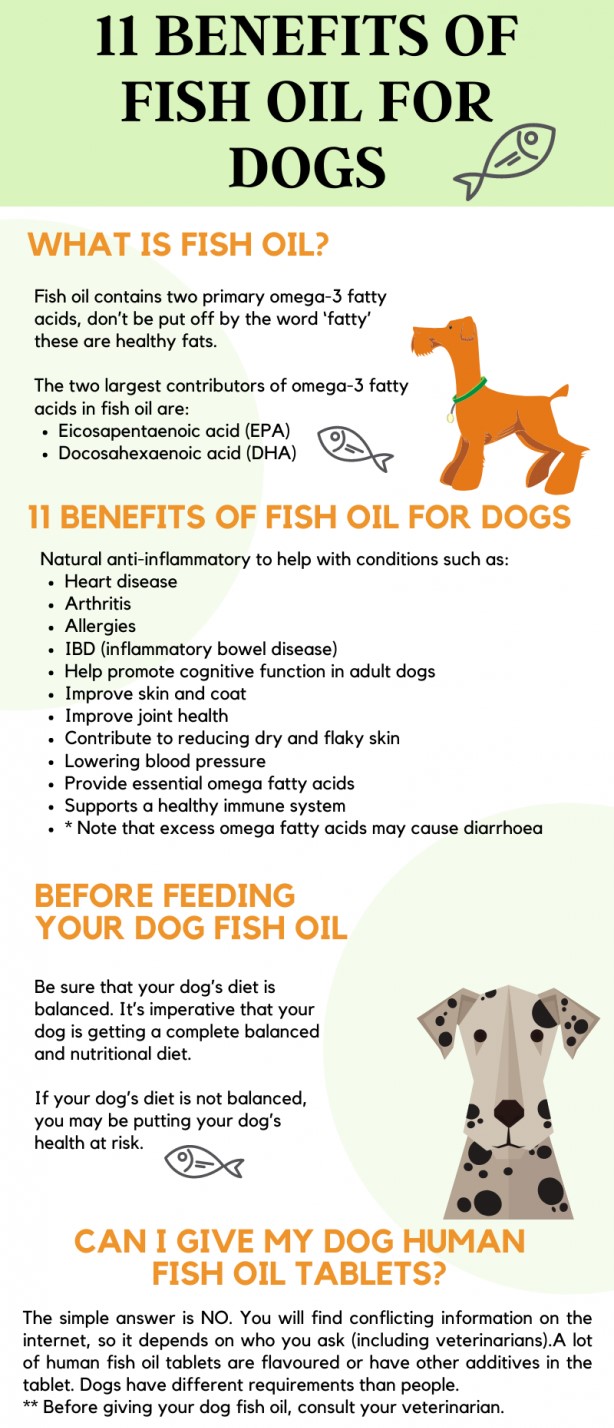 Benefits of fish oil for dogs infographic