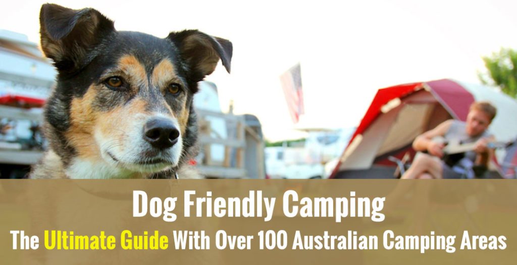 Dog Friendly Camping The Ultimate Guide With Over 100 Australian Camping Areas DogZone Australia