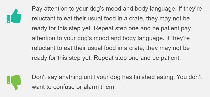 Crate Training Tips 2