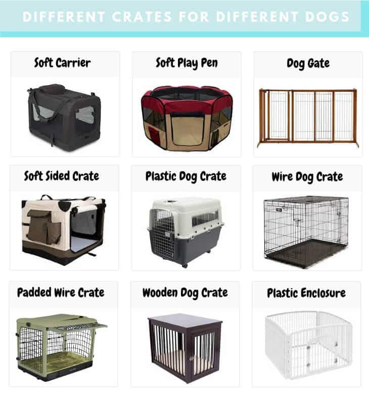 What type of crate for my dog breed?