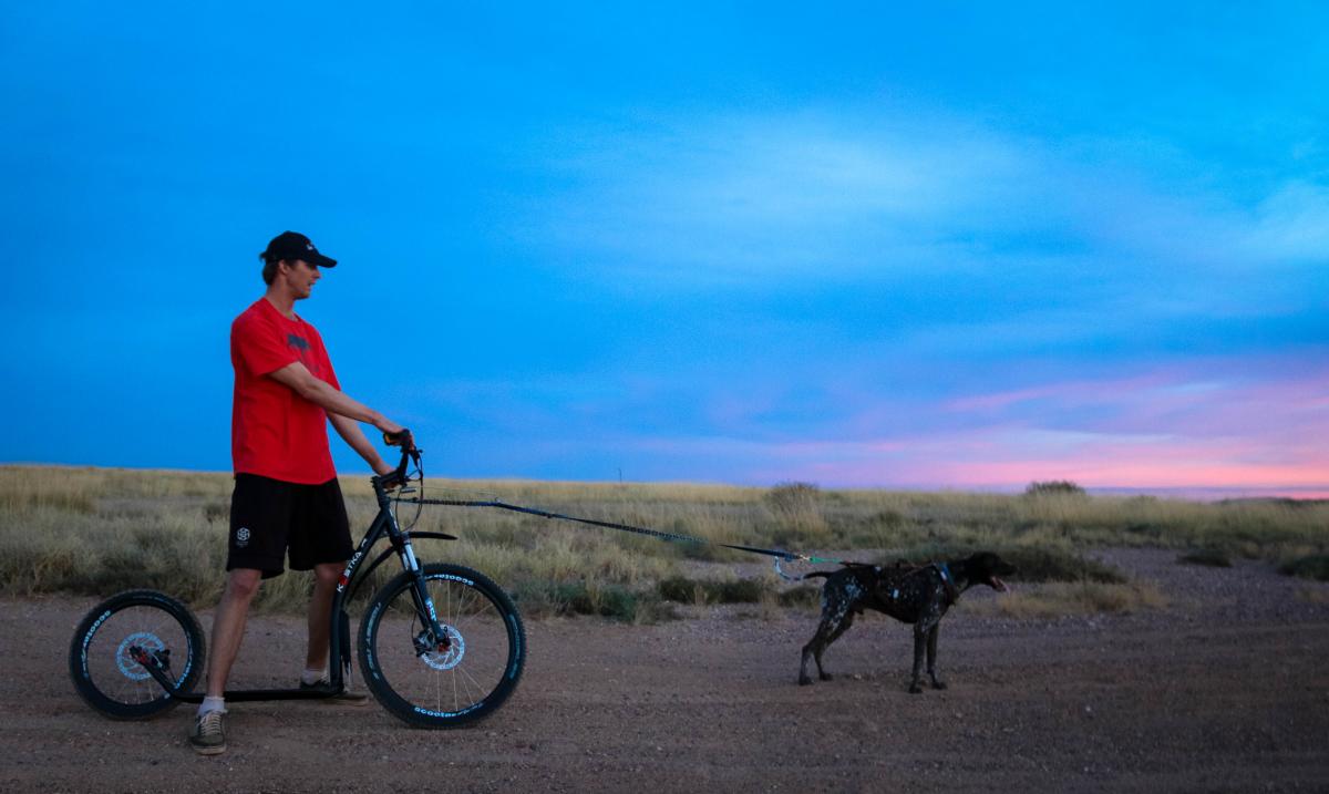 Exercise with dogs - Dog mushing