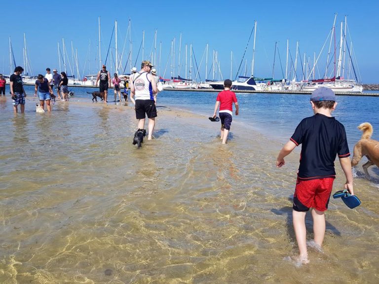 Brighton Dog Friendly Beaches DogZone Australia