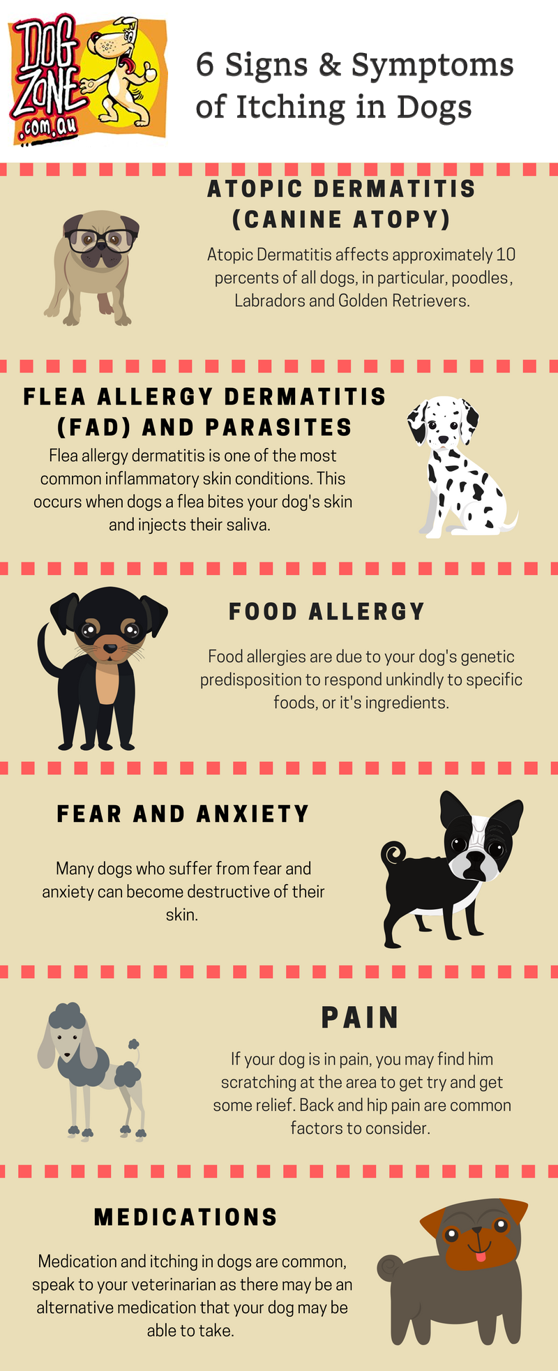 Signs & Symptoms of Itching in Dogs Infographic