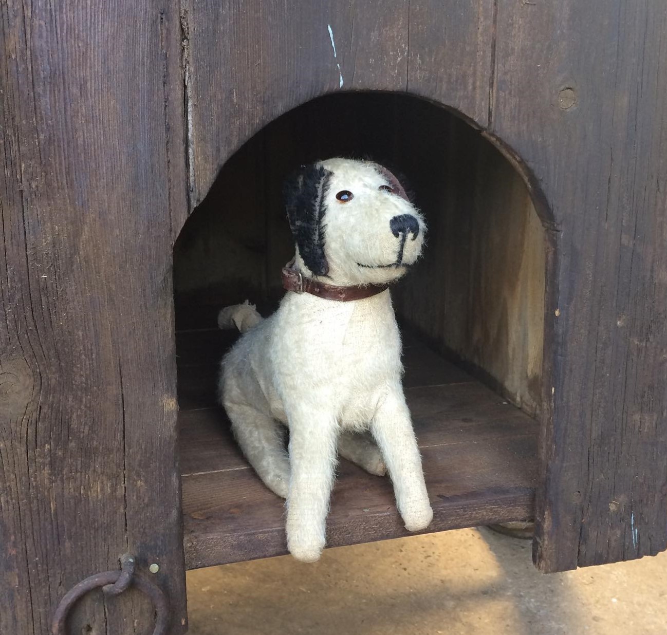 Dog kennel or crate