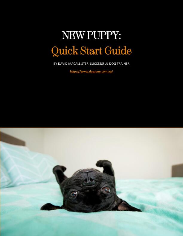 New Puppy: Quick Start Guide!
