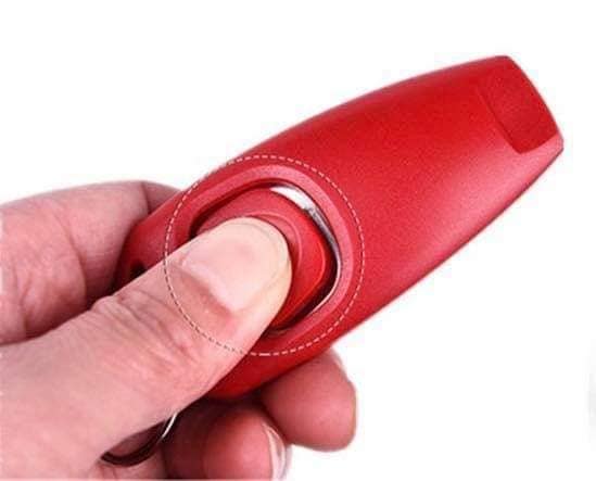 Clicker training for dogs
