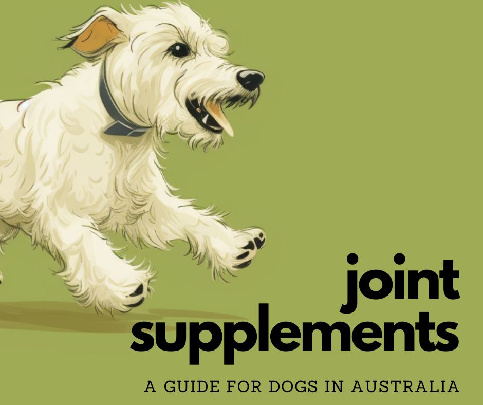 A Guide To The Best Joint Supplements For Dogs in Australia