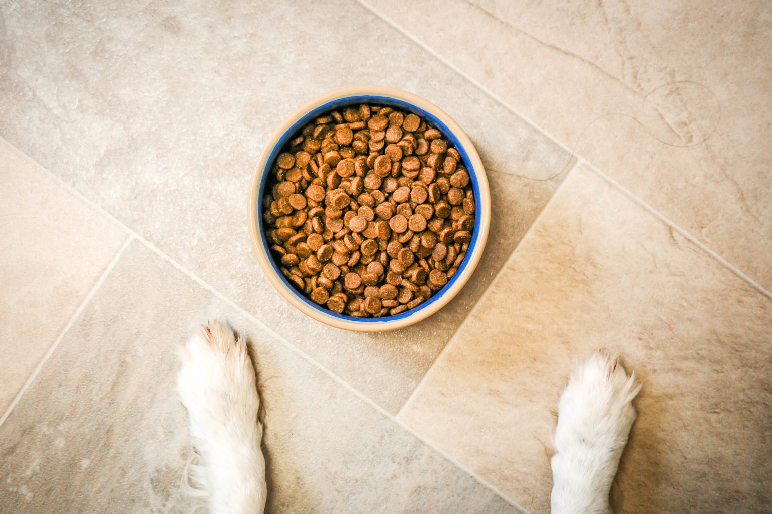 How to store dog food, and how not to DogZone Australia