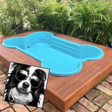 Dog shell pools Australia