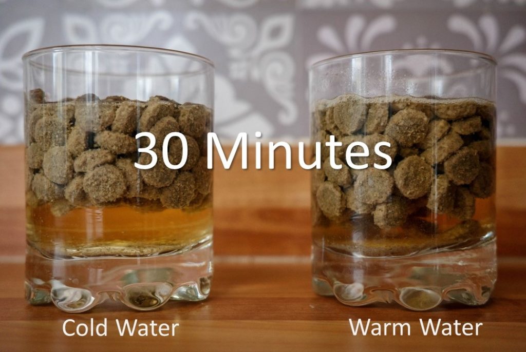 Should you soak kibble experiment - 30 minutes