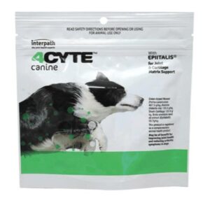 4Cyte Canine Joint Supplement for dogs