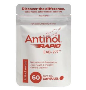 Antinol Rapid - Joint supplement for dogs Australia