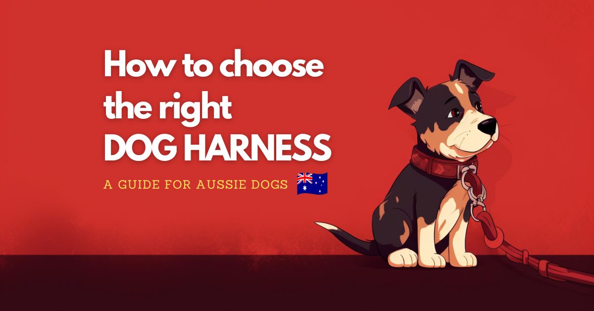 How to choose the right Dog Harness!