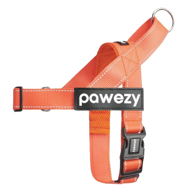 Pawezy personalised dog harness - orange