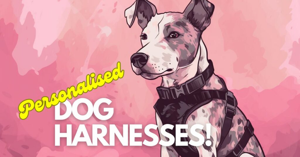 Why You Need A Personalised Dog Harness! DogZone Australia