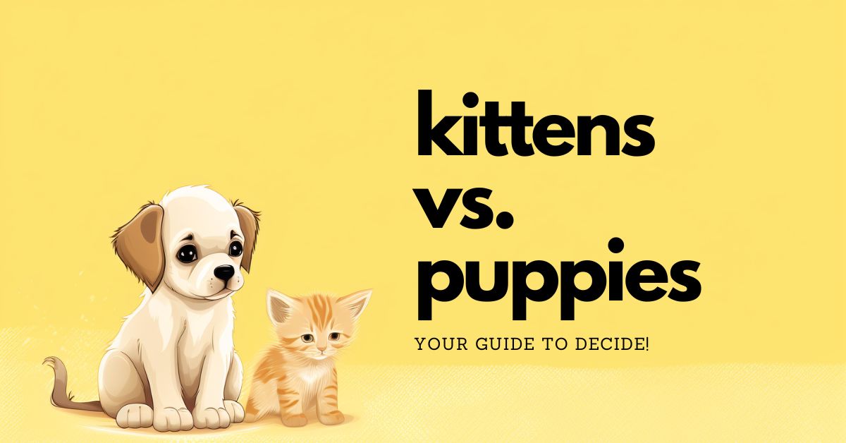 kittens vs. puppies