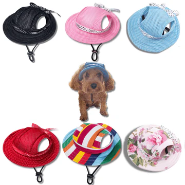 Dog hats in Australia from Let's Pawty.