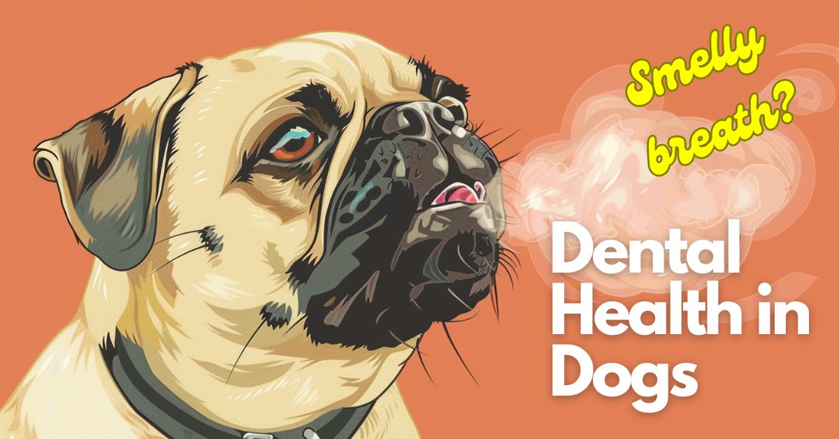 Dental Health in Dogs and Cats